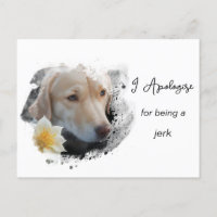 *~* AP61  Sad Tan Dog Apologise Caring Flower 