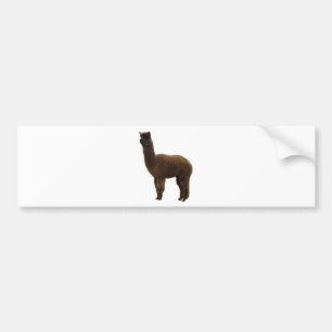 Apaca stud bumper sticker