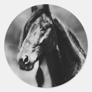 Apache horses classic round sticker