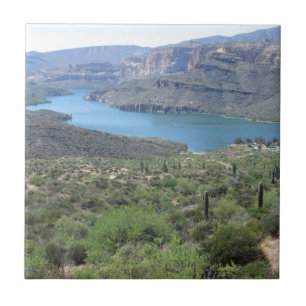 Apache Lake View Tile