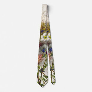 Apache Nature Drawings, Gifts Tie