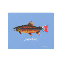 Apache Trout; 