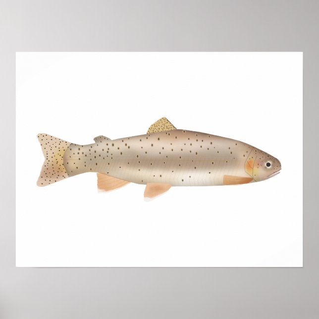 Apache Trout Poster (Front)