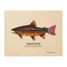 Apache Trout; 