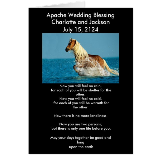 Apache Wedding Blessing Arabian thoroughbred horse (Front)
