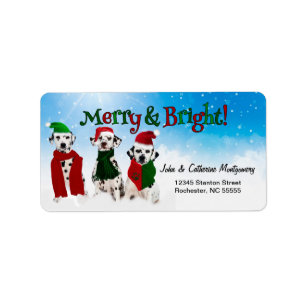 APAL - Christmas Dalmatian Dogs in the Snow Label