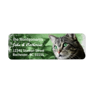 APAL - Silver Tabby Cat with Seasonal Green Return Address Label