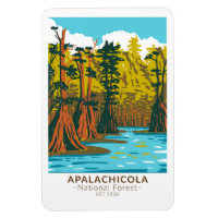 Apalachicola National Forest Baldcypress Tree