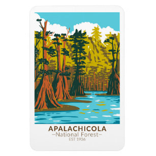 Apalachicola National Forest Baldcypress Tree Magnet