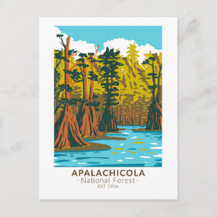 Apalachicola National Forest Baldcypress Tree Postcard
