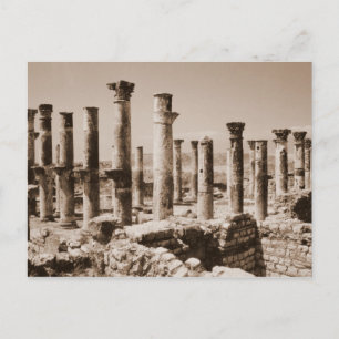 Apamea Postcard