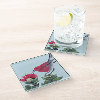 Apapane & Lehua Blossom Hawaii Nature Illustration Glass Coaster