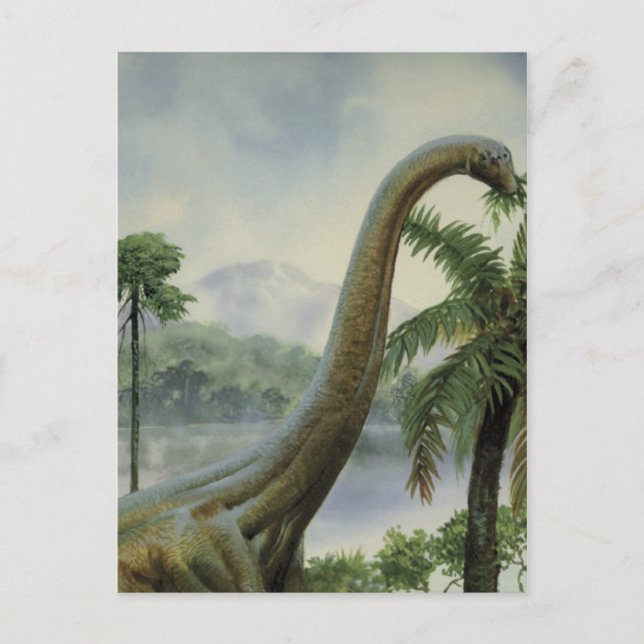 Apatosaurus (Brontosaurus) Eating Illustration Postcard (Front)