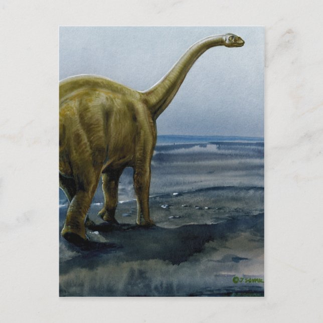 Apatosaurus (Brontosaurus) Illustration Postcard (Front)