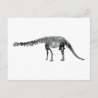 apatosaurus skeleton postcard