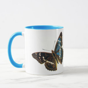 Apatura iris male mug