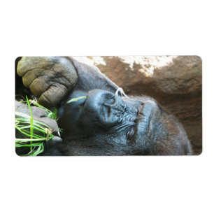 Ape hood ~ Japanese Gorilla Eating