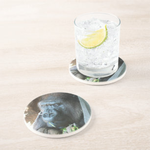 Ape hood ~ Japanese Gorilla Eating Coaster