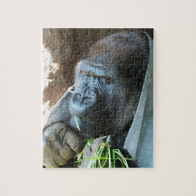 Ape hood ~ Japanese Gorilla Eating Jigsaw Puzzle (Vertical)