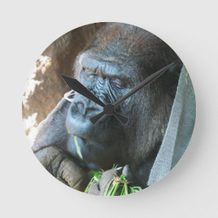 Ape hood ~ Japanese Gorilla Eating Round Clock