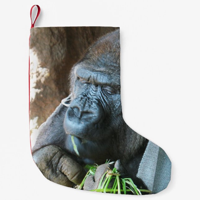 Ape hood ~ Japanese Gorilla Eating Small Christmas Stocking (Front)