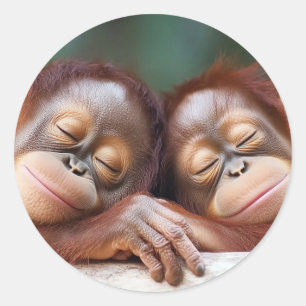 Ape Wild Animal Relaxing Portrait Classic Round Sticker