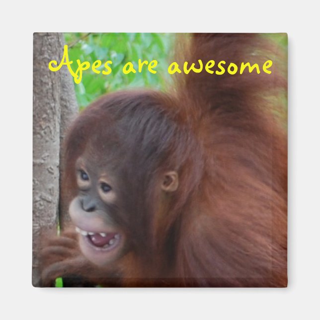 Apes are Awesome Magnet (Front)