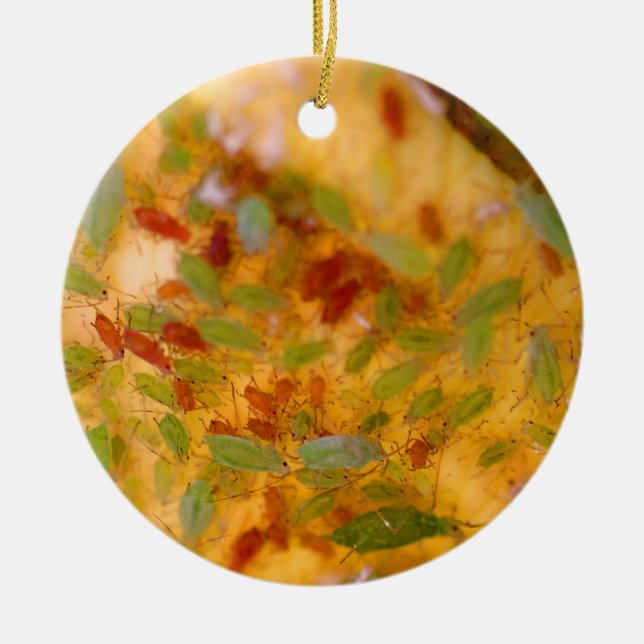 Aphids Infestation Ceramic Ornament (Front)