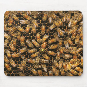 Apiary - Bee - A hail the queen Mouse Pad
