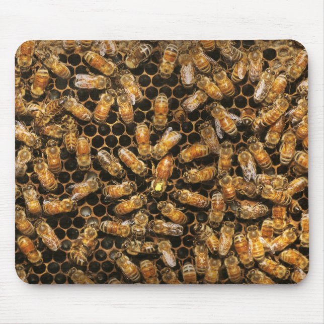 Apiary - Bee - A hail the queen Mouse Pad (Front)