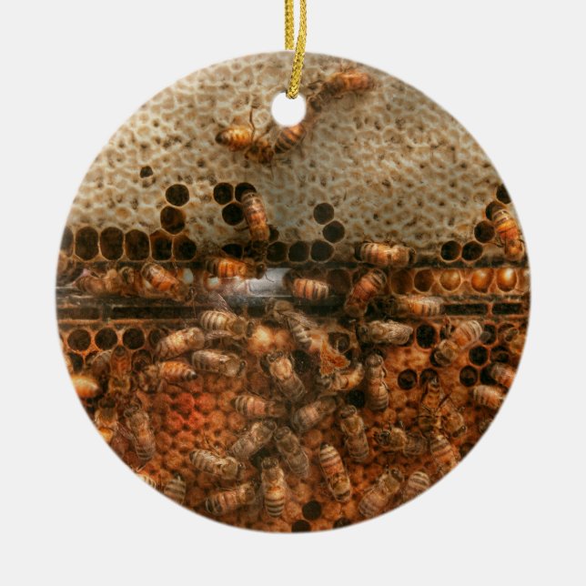 Apiary - Bee's - Sweet success Ceramic Tree Decoration (Front)
