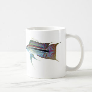 Apistgramma bitaeniataのマグカップ coffee mug