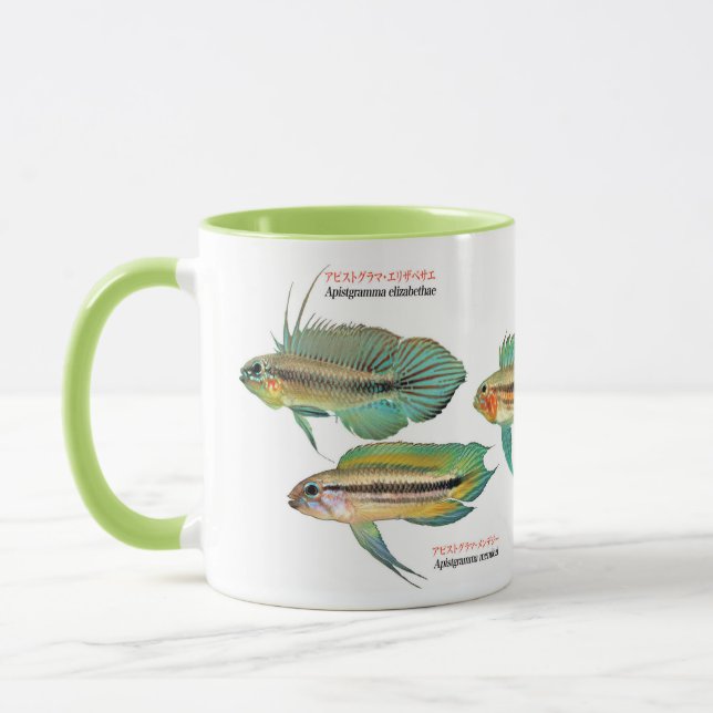 Apistgramma Mug (Left)