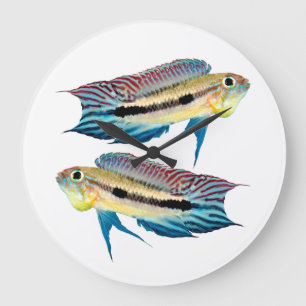 “Apistogramma mendezi”の優良製品 Large Clock