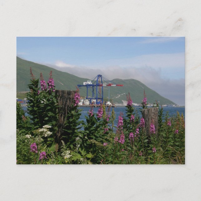 APL Crane in Dutch Harbour, Alaska Postcard (Front)
