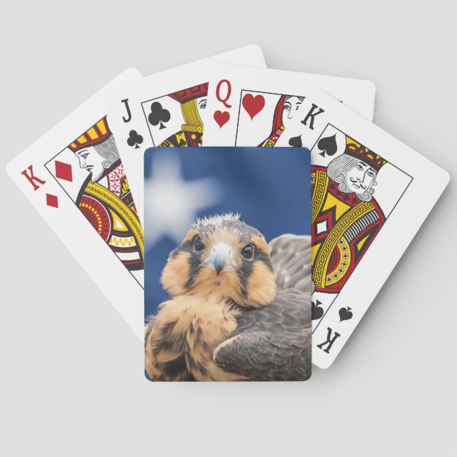 Aplomado Falcon with Flag Playing Cards (Back)