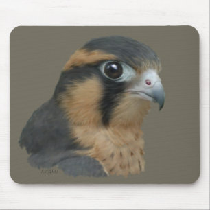 Aplomado Mouse Pad