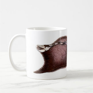 Aplysia inca coffee mug