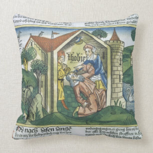 Apocrypha: Tobit is blinded by sparrow's droppings Cushion
