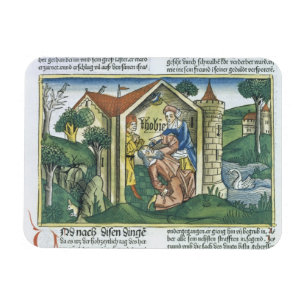 Apocrypha: Tobit is blinded by sparrow's droppings Magnet