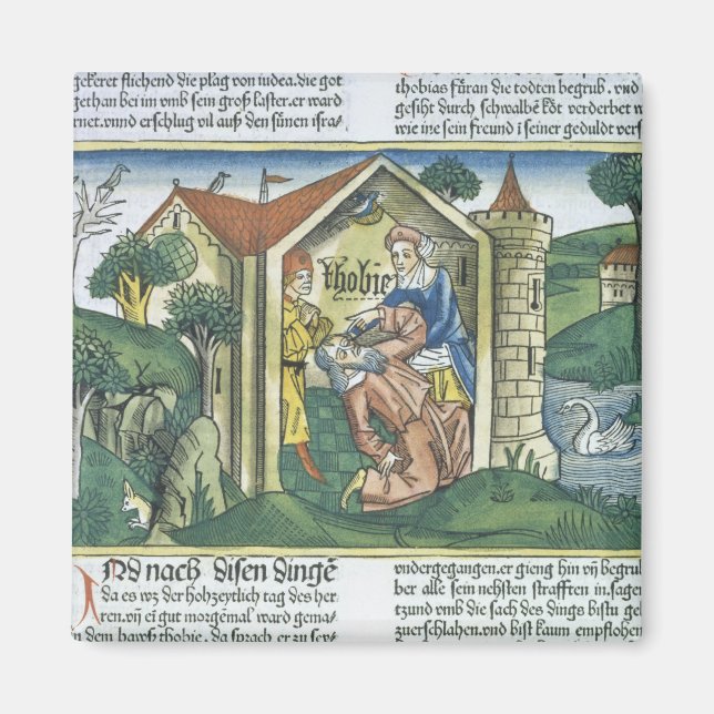 Apocrypha: Tobit is blinded by sparrow's droppings Magnet (Front)