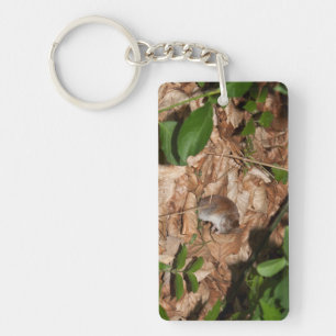 Apodemus sylvaticus key ring