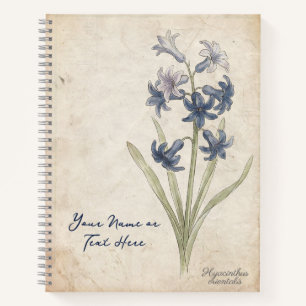 Apollo’s Tears: Hyacinthus Orientalis Botanical Notebook