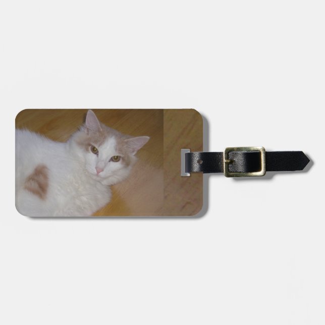 Apollo the Turkish Van Luggage Tag (Front Horizontal)