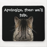 Apologise, then we'll talk Funny Cat