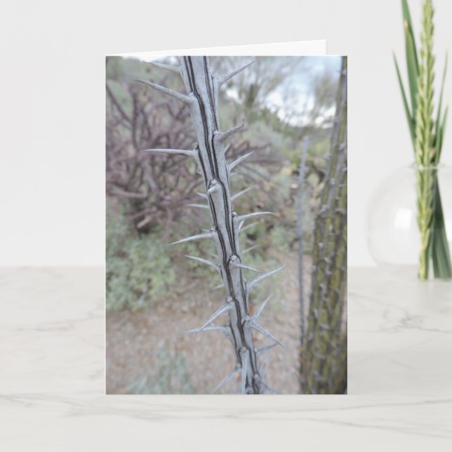 apology card (Front)