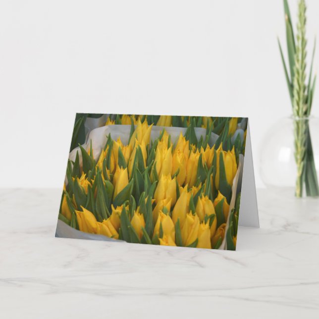 Apology Card (Front)