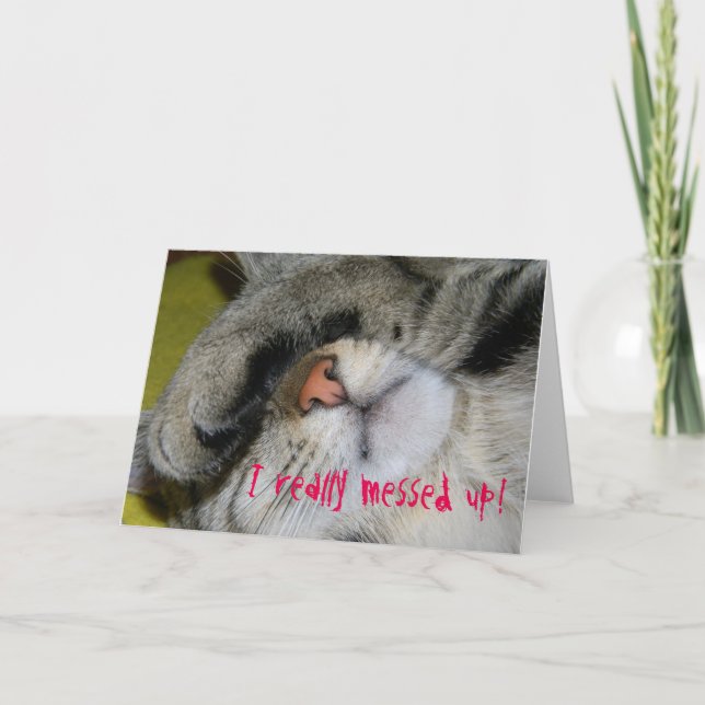 Apology Card - I Really Messed Up, Embarrassed Cat (Front)