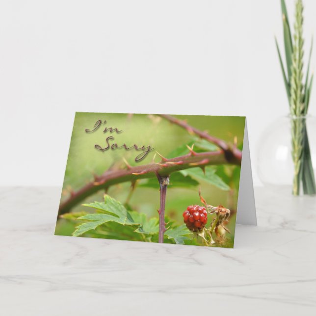 Apology card Sorry for being prickly (Front)