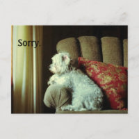 Apology card~when "sorry" says it all.